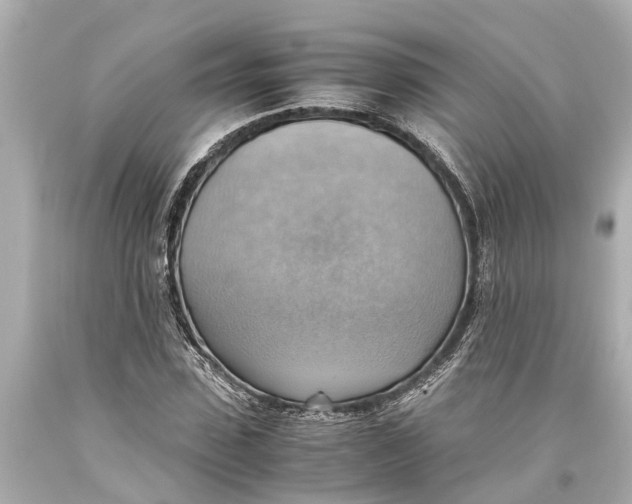 X0000093590923200711051135