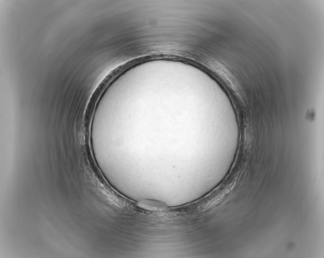 X0000093590924200711051135