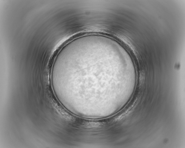 X0000093590925200711051135