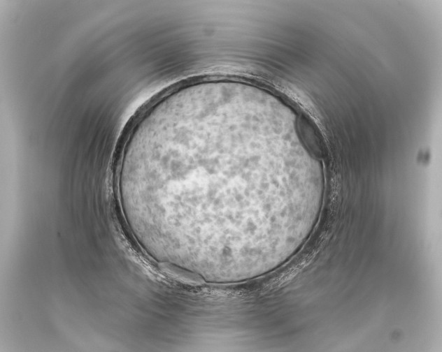 X0000093590928200711051135