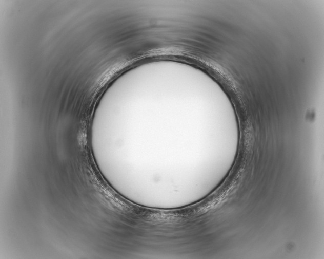 X0000093590929200711051135