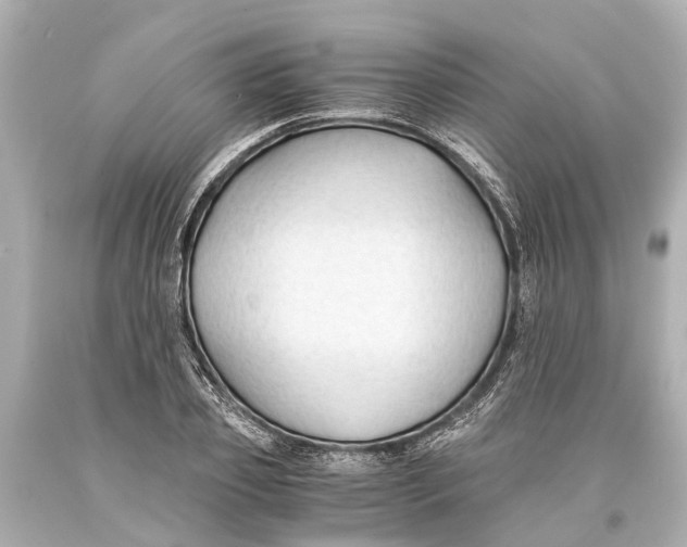 X0000093590933200711051135