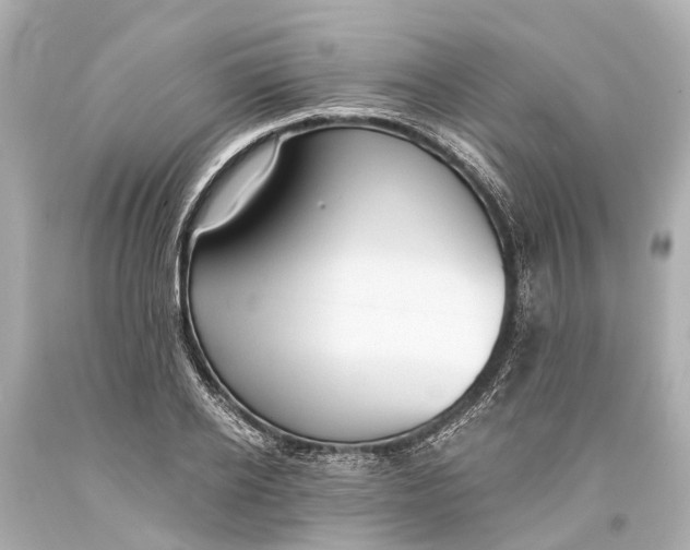 X0000093590934200711051135