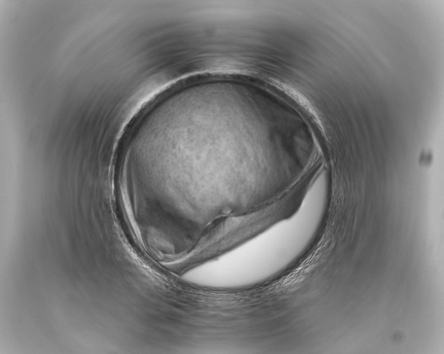 X0000093590935200711051135