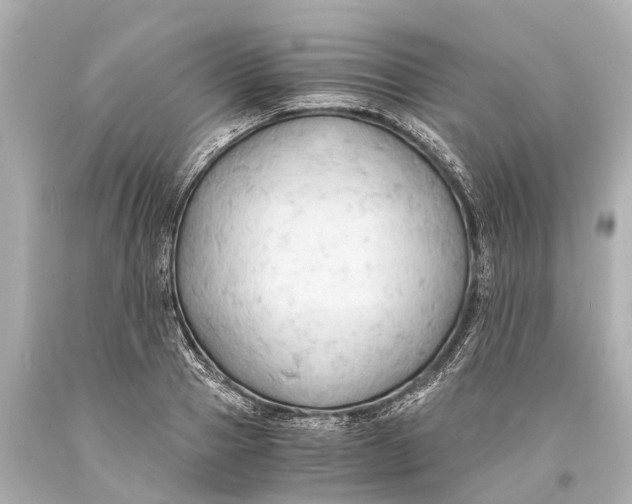 X0000093590937200711051135