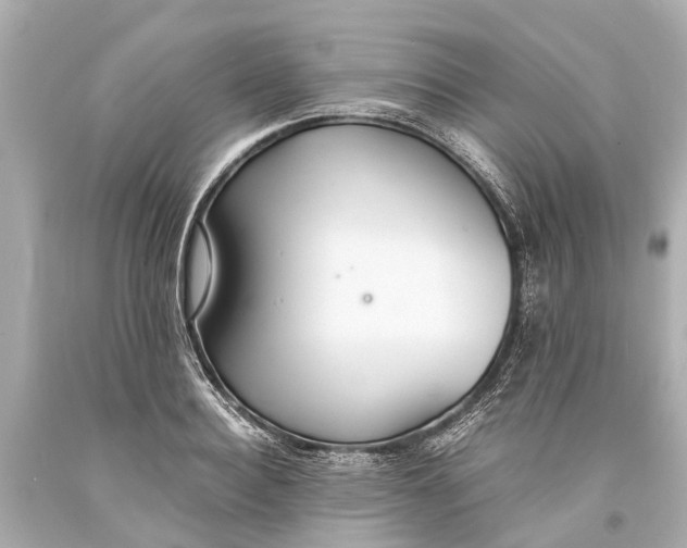 X0000093590940200711051135