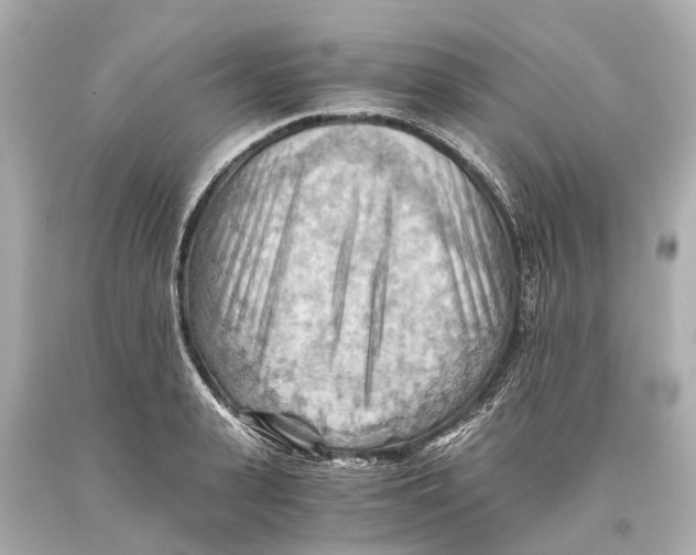 X0000093590943200711051135