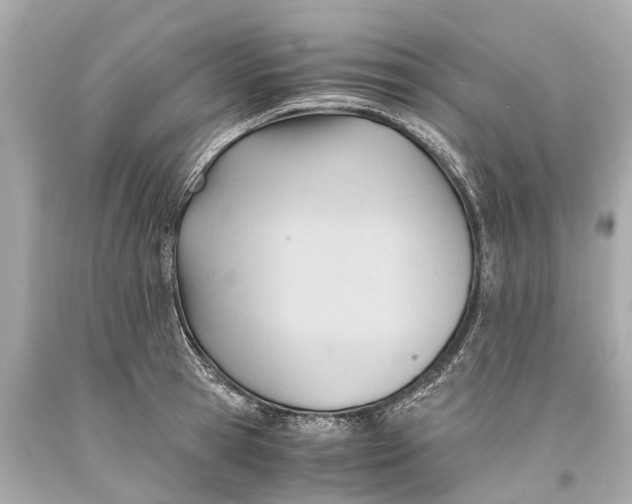 X0000093590945200711051135