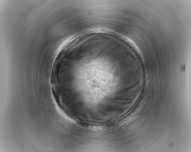 X0000093590946200711051135