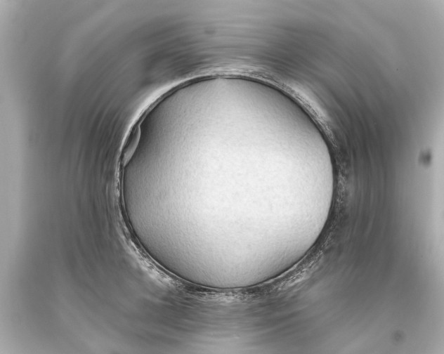X0000093590948200711051135