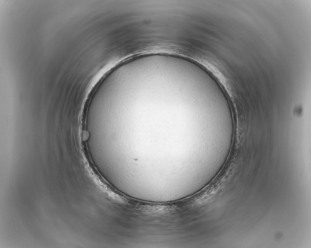 X0000093590949200711051135