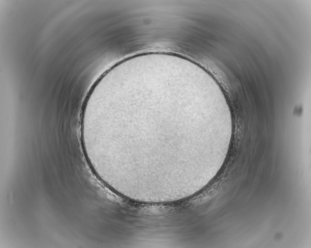 X0000093590950200711051135