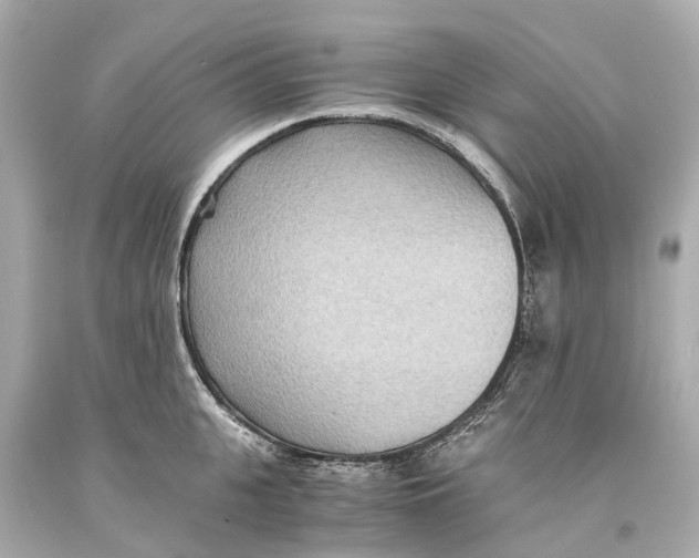 X0000093590951200711051135