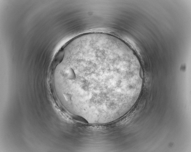 X0000093590952200711051135