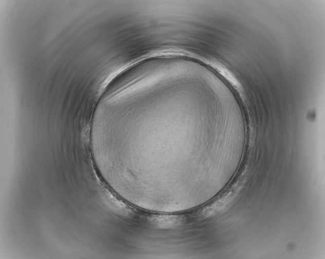 X0000093590953200711051135