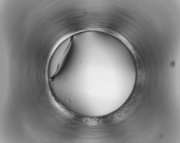 X0000093590955200711051135