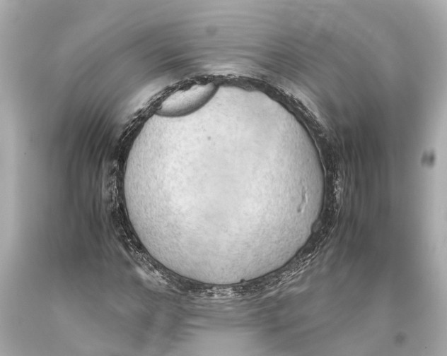 X0000093590968200711051135