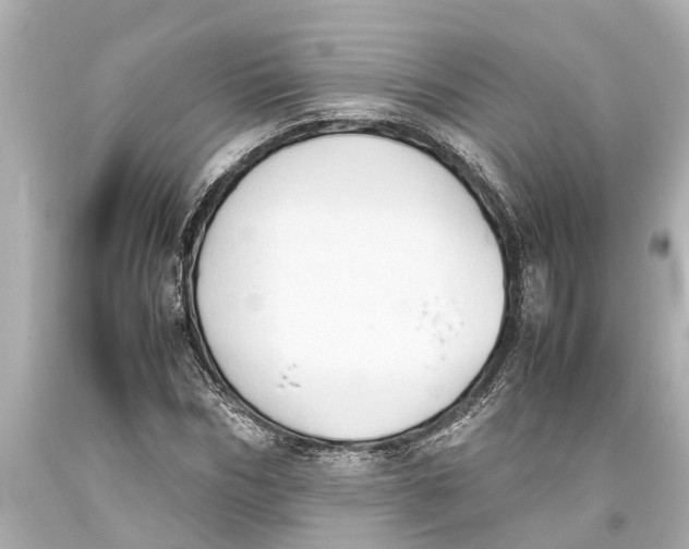 X0000093590970200711051135