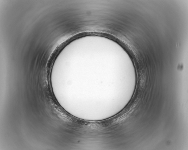 X0000093590974200711051135