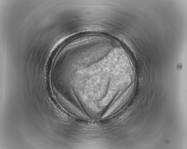 X0000093590975200711051135