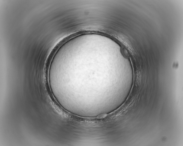X0000093590976200711051135