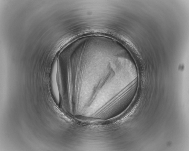 X0000093590977200711051135