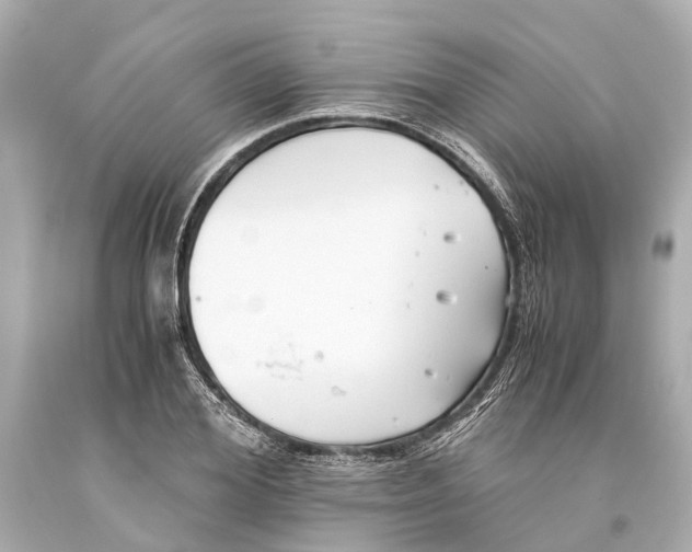 X0000093590980200711051135
