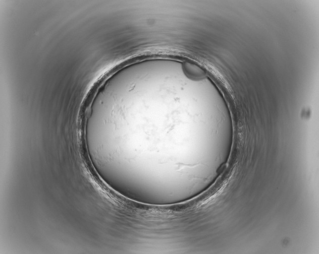 X0000093590981200711051135