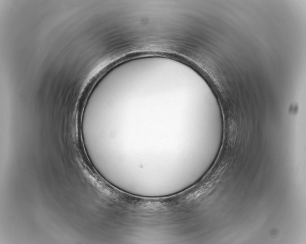 X0000093590982200711051135