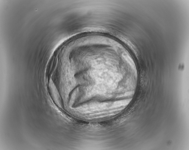X0000093590983200711051135
