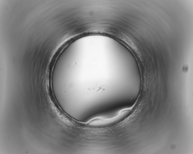 X0000093590984200711051134