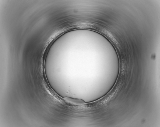 X0000093590986200711051134