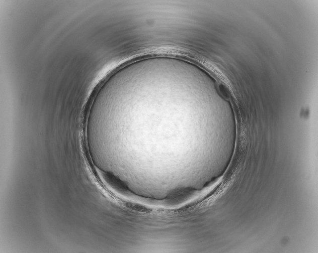 X0000093590989200711051134