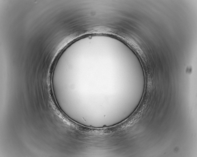 X0000093590990200711051134