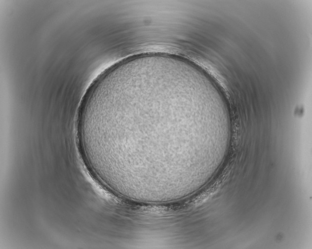 X0000093590991200711051134