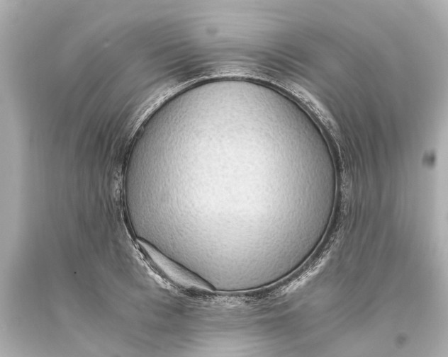 X0000093590993200711051134