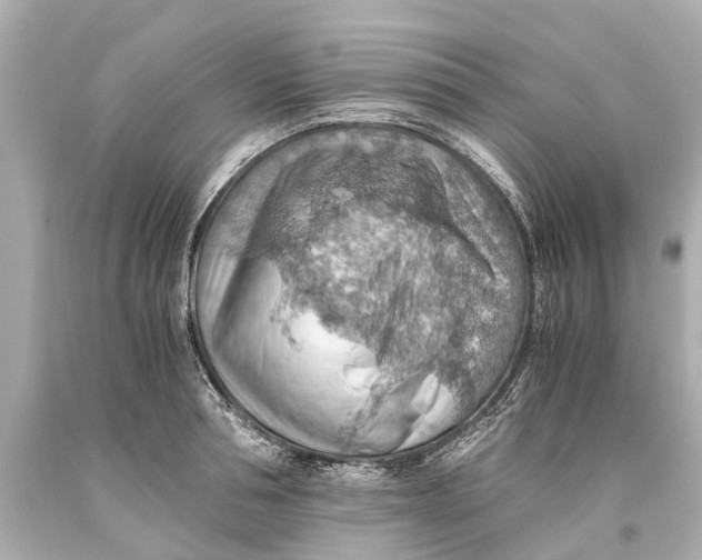 X0000093590994200711051134