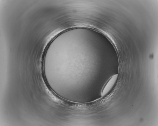 X0000093590995200711051134