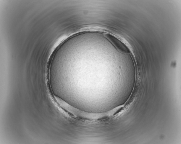 X0000093590997200711051134