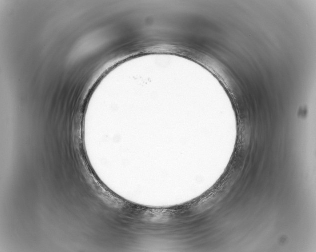 X0000093591000200711051134