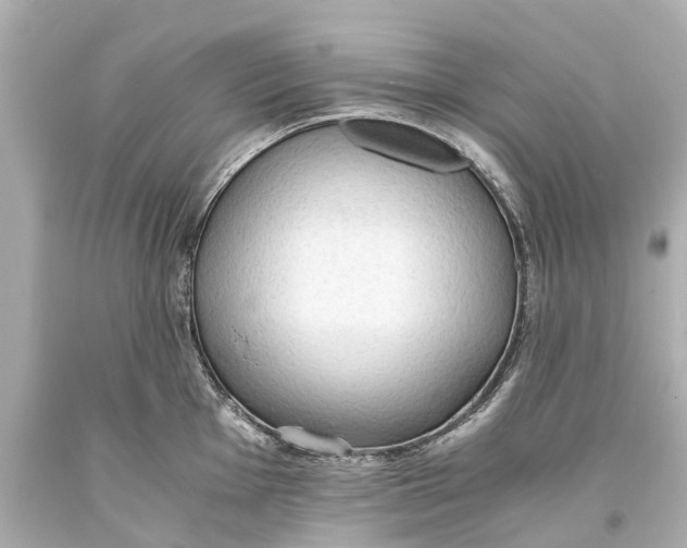 X0000093591001200711051134