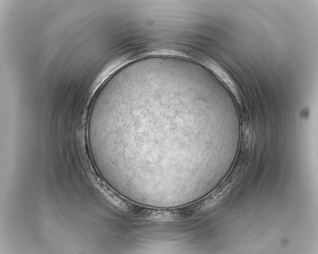 X0000093591002200711051134