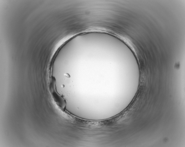 X0000093591003200711051134
