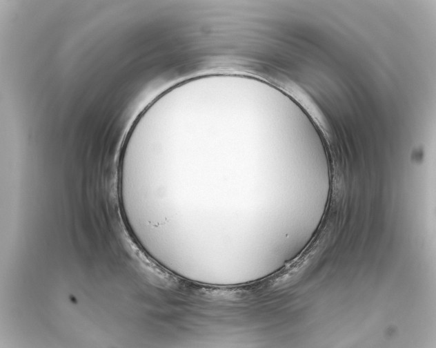 X0000093591004200711051134
