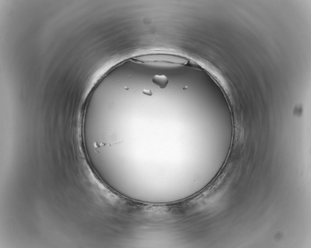X0000093591006200711051134
