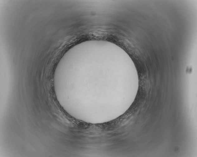 X0000093591009200711051134