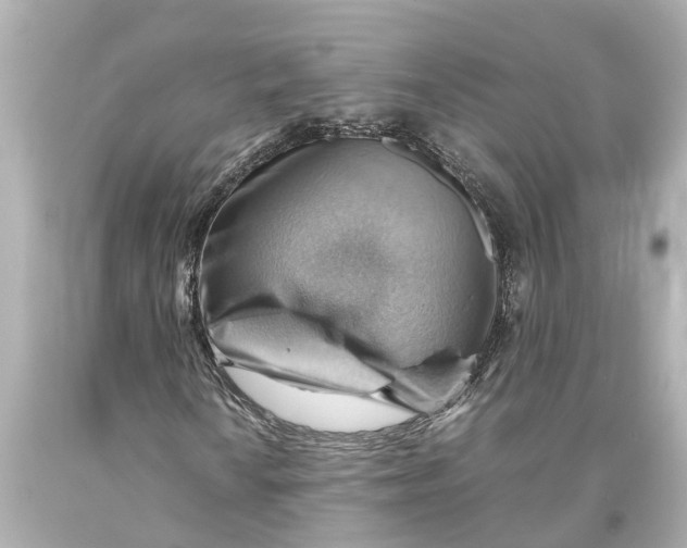 X0000093591010200711051134