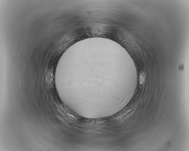 X0000093591011200711051134