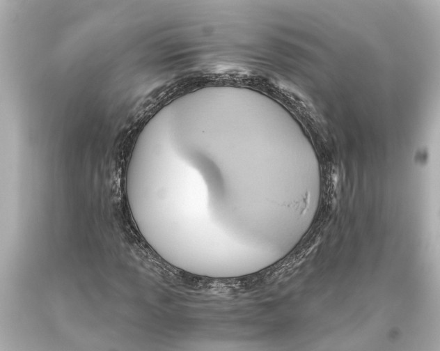 X0000093591013200711051134