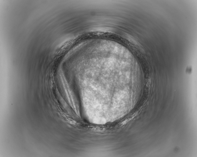 X0000093591014200711051134